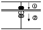 Diagram C