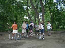 Woods of Central Park